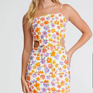 Size 6 PacSun Summer Floral Dress